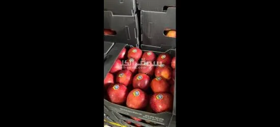 الفواكه الجافه و الطازجه ارخص سعر و اعلي جودة توصيل لكل انحإ العراق