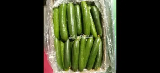 الفواكه الجافه و الطازجه ارخص سعر و اعلي جودة توصيل لكل انحإ العراق - 2