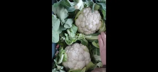 الفواكه الجافه و الطازجه ارخص سعر و اعلي جودة توصيل لكل انحإ العراق - 11