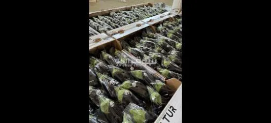 الفواكه الجافه و الطازجه ارخص سعر و اعلي جودة توصيل لكل انحإ العراق - 16