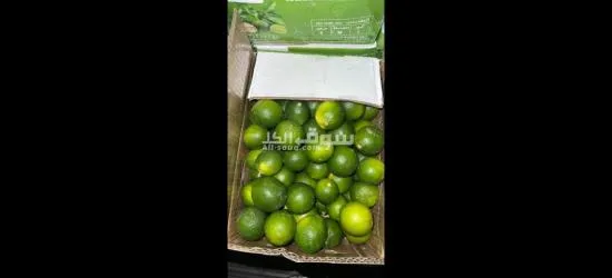 الفواكه الجافه و الطازجه ارخص سعر و اعلي جودة توصيل لكل انحإ العراق - 17