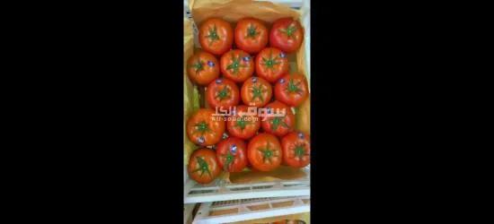 الفواكه الجافه و الطازجه ارخص سعر و اعلي جودة توصيل لكل انحإ العراق - 18