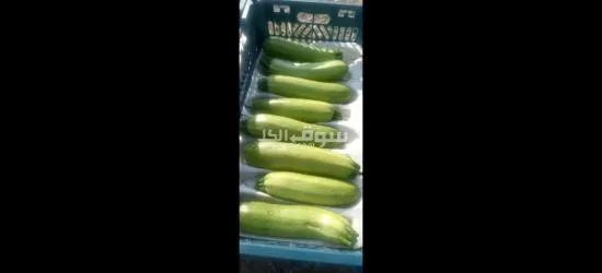 الفواكه الجافه و الطازجه ارخص سعر و اعلي جودة توصيل لكل انحإ العراق - 20