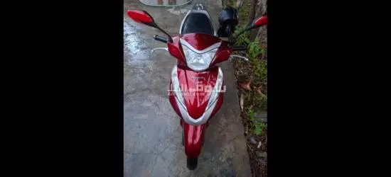 هوندا ليدي حديث - 1