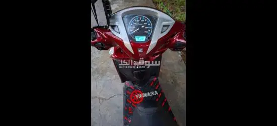 هوندا ليدي حديث - 2