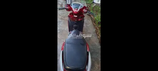 هوندا ليدي حديث - 10