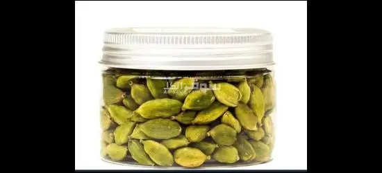 ال ورد الجوری و ال هل الایرانی - 2