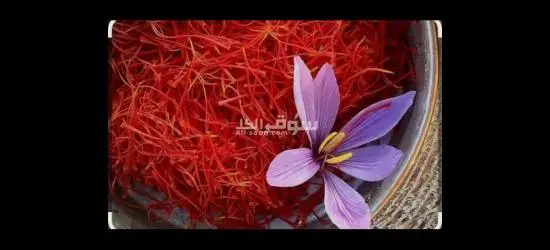 بیع الزعفران الایرانی