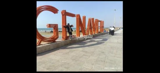 فیله للایجار