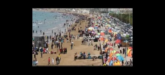 فیله للایجار - 2