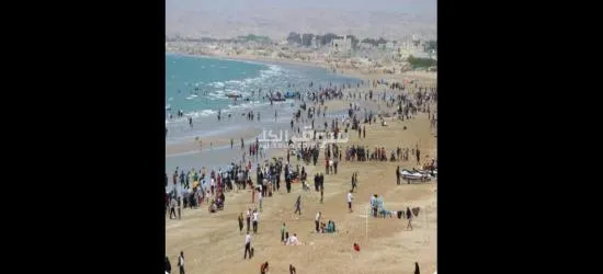 فیله للایجار - 3