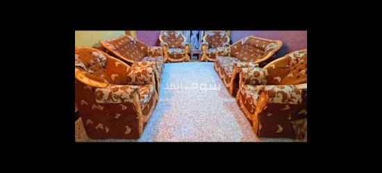 تخم قنفات للبيع