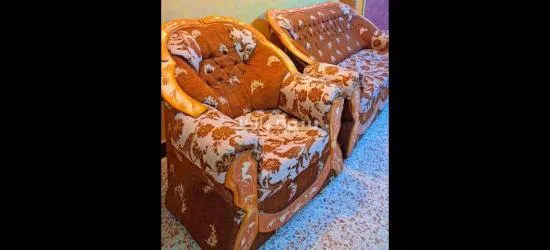 تخم قنفات للبيع - 2