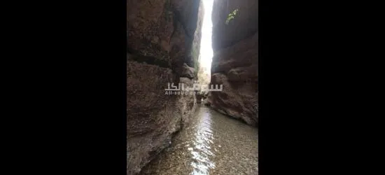 زيارة وادي توبيرون