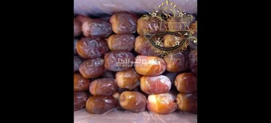 Wholesale DATE'S With the Best Quality and Price Without Intermediaries From Iran per 100 Kgr - 10