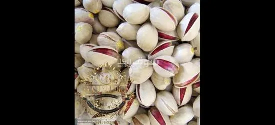 wholesale Pistachios with the best Quality and Price Without Intermediaries From Iran per 100 Kgr - 4