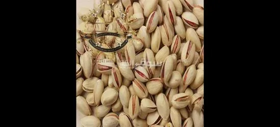 wholesale Pistachios with the best Quality and Price Without Intermediaries From Iran per 100 Kgr - 8