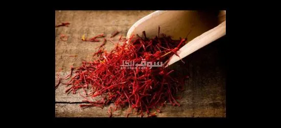 wholesale Saffron With the Best Quality and Price Without Intermediaries From Iran per 1 Kgr - 4
