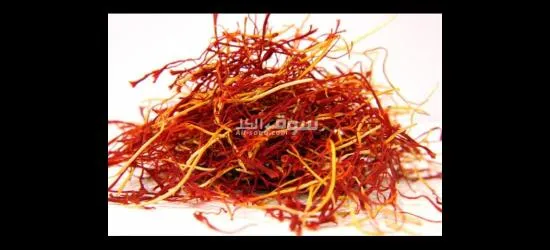 wholesale Saffron With the Best Quality and Price Without Intermediaries From Iran per 1 Kgr - 9